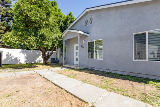 6206 Camellia photo 56