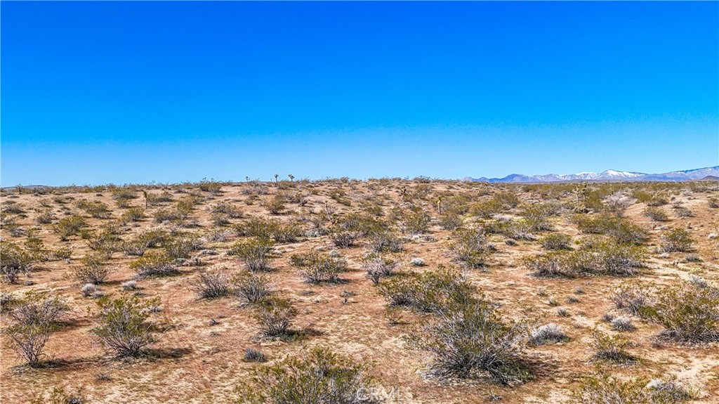 MLS #JT25078936 image #32