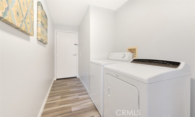 Image 39 for 38265   Crocus LN