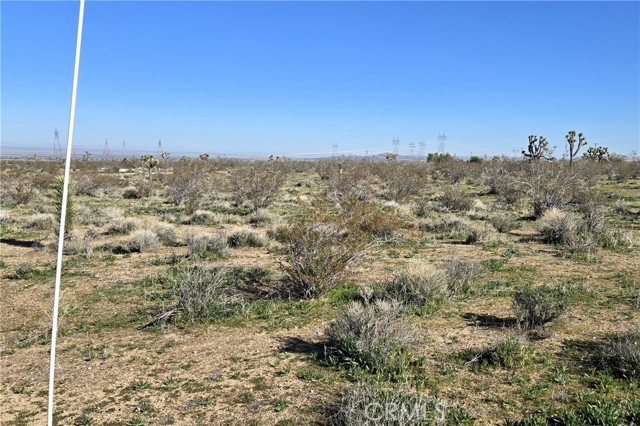 Detail Gallery Image 4 of 7 For 105 Th E Ave V8 & 106th E, Pearblossom,  CA 93553 - – Beds | – Baths