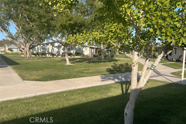 Image 5 of 71 For 1601 Glen View Rd. #64f (m12)