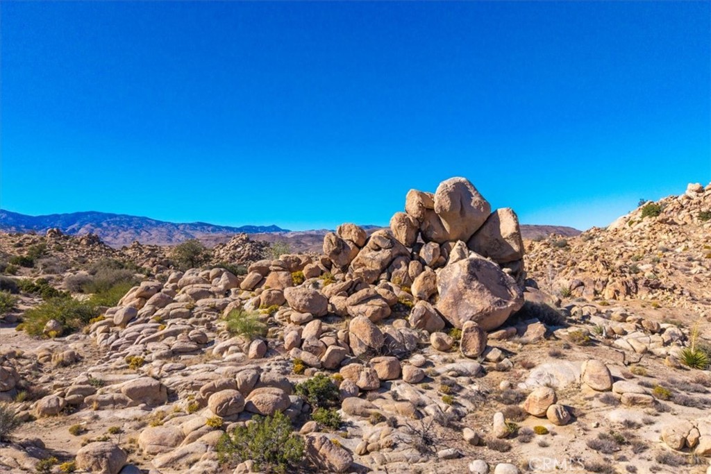 MLS #JT25250010 image #18