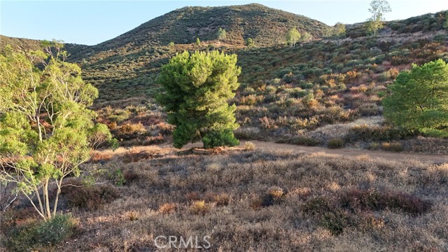 31355 Wild Lilac, Menifee CA: https://media.crmls.org/medias/1961962a-b057-4867-b04d-0092873321c5.jpg