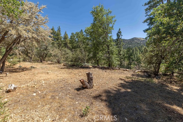 190 Yosemite Drive, Big Bear City CA: https://media.crmls.org/medias/19621982-a130-48b6-8b50-83cf8e1df84a.jpg