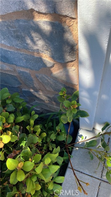 5921 Alessandro ave, Temple City CA: https://media.crmls.org/medias/196602bf-7d4f-40cd-9a84-6730f2f21de2.jpg