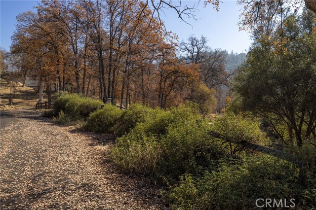 Detail Gallery Image 62 of 74 For 42400 Maples Ln, Oakhurst,  CA 93644 - 3 Beds | 2 Baths