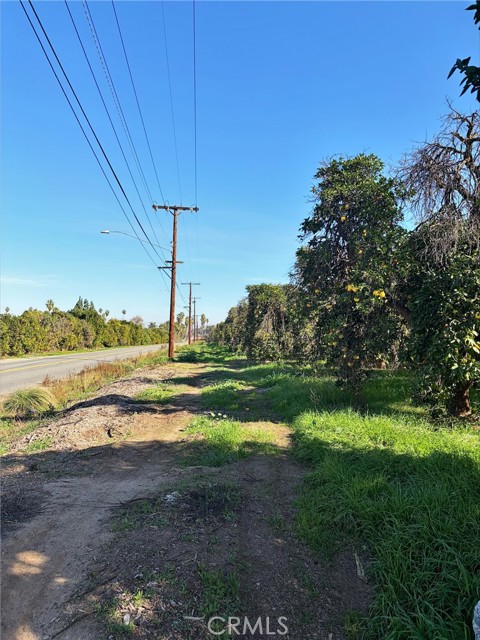 0 Dufferin, Riverside CA: https://media.crmls.org/medias/19683fb0-8319-44ab-be86-c0c1e6f79eac.jpg