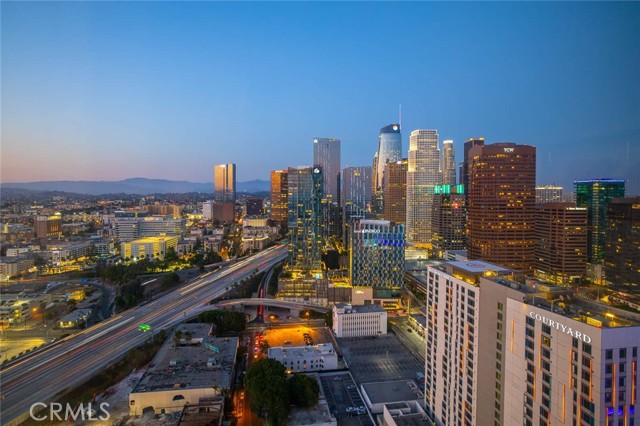 Detail Gallery Image 16 of 56 For 900 W Olympic 31j,  Los Angeles,  CA 90015 - 3 Beds | 3 Baths