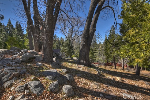 28621 Shenandoah Drive, Lake Arrowhead CA: https://media.crmls.org/medias/196d4dee-7ad9-4f77-a2b1-2a32b4ae61cf.jpg