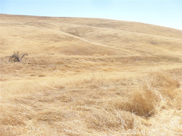Detail Gallery Image 6 of 42 For 0 Douglas Rd. (Lots 40-43), San Miguel,  CA 93451 - – Beds | – Baths