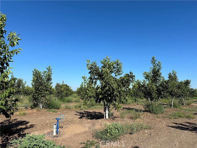 0 Kelly W Lane, Chico CA: https://media.crmls.org/medias/1981aca1-6a06-4e04-98f5-b542bde56b17.jpg