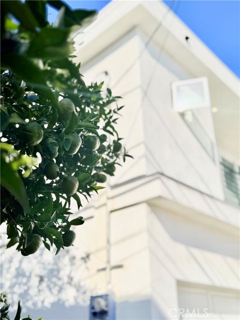 Detail Gallery Image 2 of 42 For 5336 Lemon Grove, Los Angeles,  CA 90038 - – Beds | – Baths