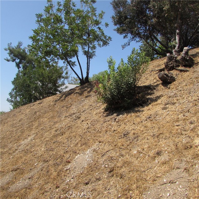 Detail Gallery Image 30 of 52 For 3631 Tacoma, Mount Washington,  CA 90065 - – Beds | – Baths