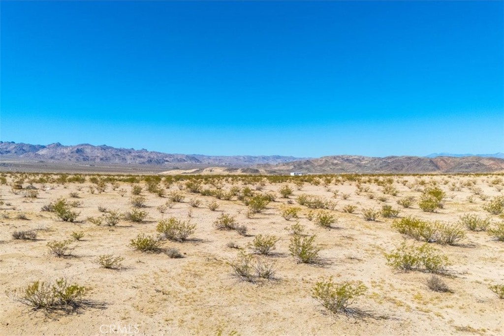 MLS #JT25225678 image #26