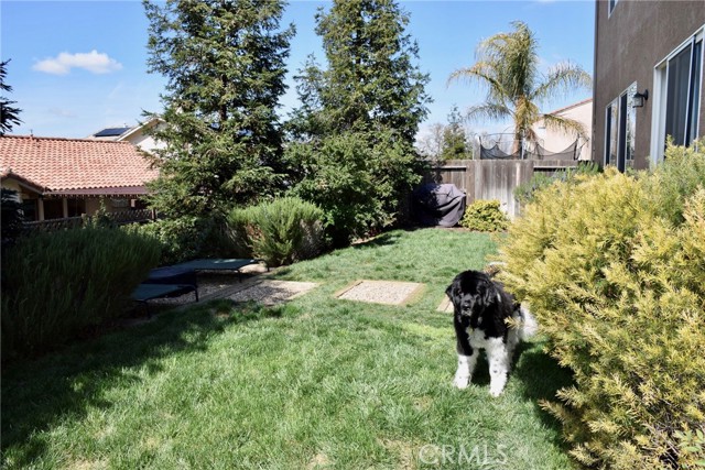 902 Sycamore Canyon Road, Paso Robles CA: https://media.crmls.org/medias/19ac0fc1-4947-4487-8d5b-244a32836a48.jpg