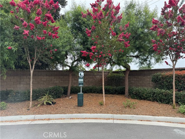 526 W Tribella Court, Santa Ana CA: https://media.crmls.org/medias/19ad75fe-b952-4ea2-996f-47ae5afdb383.jpg