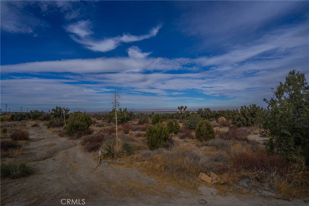 MLS #PW25003493 image #6