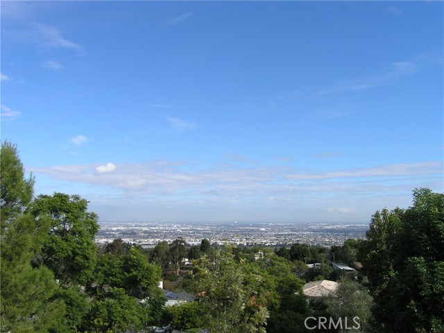 The view from the top of the lot