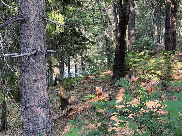 27453 North Bay Road, Lake Arrowhead CA: https://media.crmls.org/medias/19bc91fe-1afd-4497-9b74-0b6721d73a0b.jpg