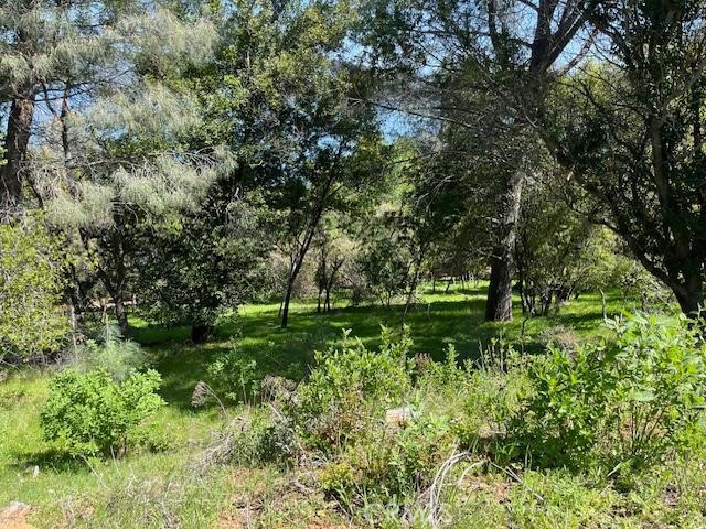 Detail Gallery Image 3 of 9 For 8444 Soda Bay Rd, Kelseyville,  CA 95451 - – Beds | – Baths