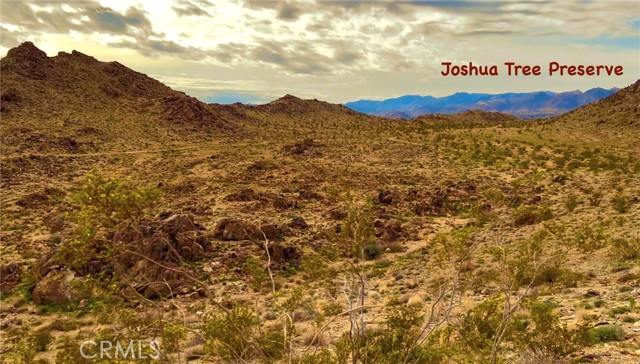 61271 Calle Los Amigos, Joshua Tree, CA, 92252 61271 Calle Los Amigos, Joshua Tree, CA, 92252