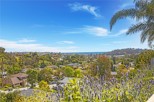 Detail Gallery Image 37 of 48 For 24222 Las Naranjas Dr, Laguna Niguel,  CA 92677 - 3 Beds | 2 Baths