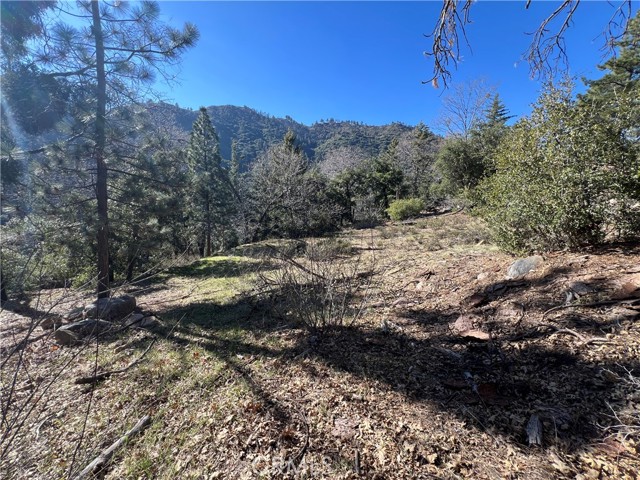 Detail Gallery Image 10 of 18 For 0 Ca-38, Angelus Oaks,  CA 92305 - – Beds | – Baths