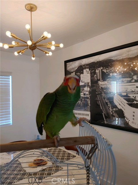 Detail Gallery Image 12 of 32 For 1421 N Sunrise, Palm Springs,  CA 92262 - 3 Beds | 2 Baths