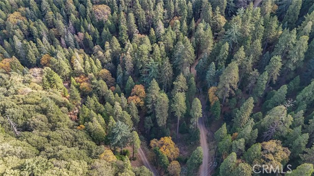 Detail Gallery Image 3 of 7 For 0 Deer Run Rd, Cedarpines Park,  CA 92322 - – Beds | – Baths