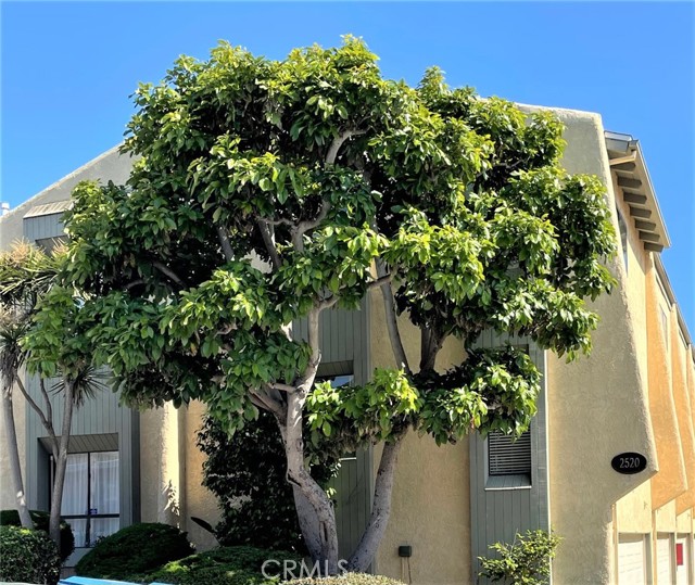 2520 Ruhland Avenue, Redondo Beach, California 90278, 2 Bedrooms Bedrooms, ,1 BathroomBathrooms,Residential,Sold,Ruhland,OC23112406
