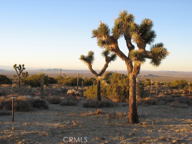 Detail Gallery Image 27 of 64 For 30840 234th St, Llano,  CA 93544 - 1 Beds | 1 Baths