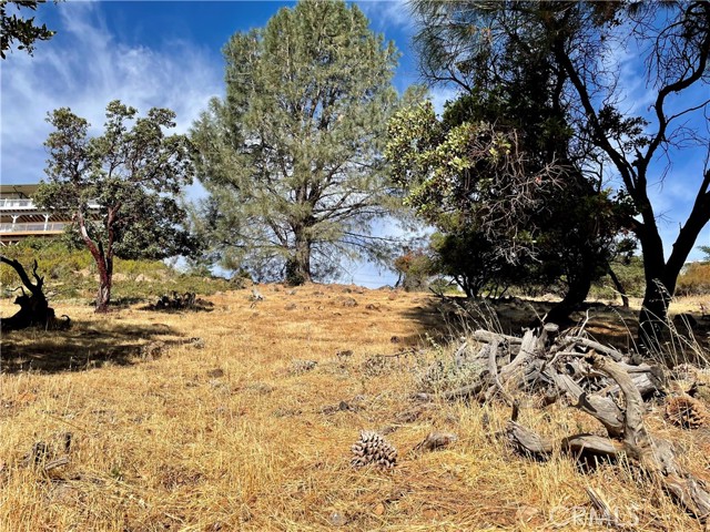 8187 N. Heights Dr., Kelseyville, California 95451, ,Land,For Sale,8187 N. Heights Dr.,CRND23183081