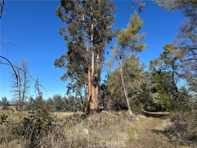 Detail Gallery Image 42 of 51 For 5235 Gaddy, Kelseyville,  CA 95451 - 2 Beds | 1 Baths