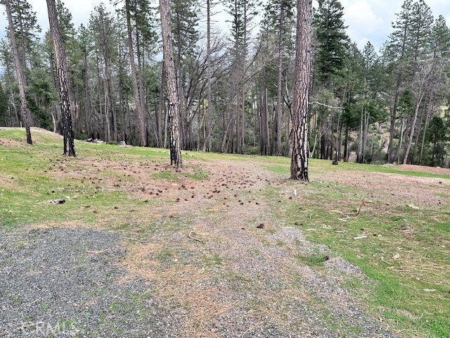 Front Image Thumbnail for CRSN26028102