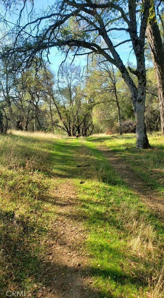 Detail Gallery Image 6 of 15 For 0 Unassigned Boyer Rd, Mariposa,  CA 95338 - – Beds | – Baths