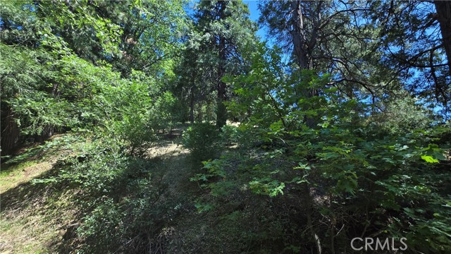 Detail Gallery Image 2 of 9 For 22496 Mojave River Rd, Cedarpines Park,  CA 92322 - – Beds | – Baths