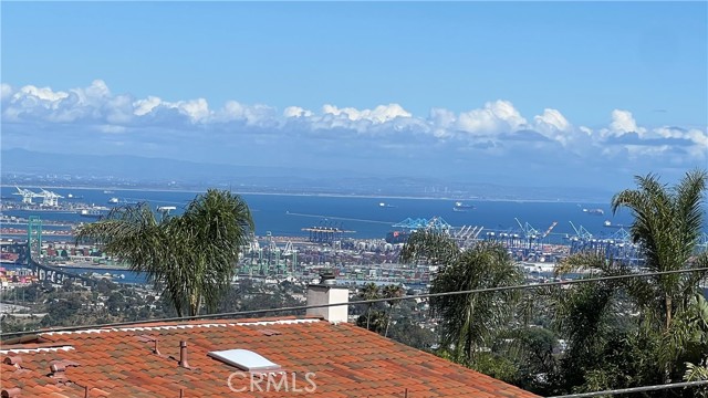 My cell phone pic. from 4/11/26.