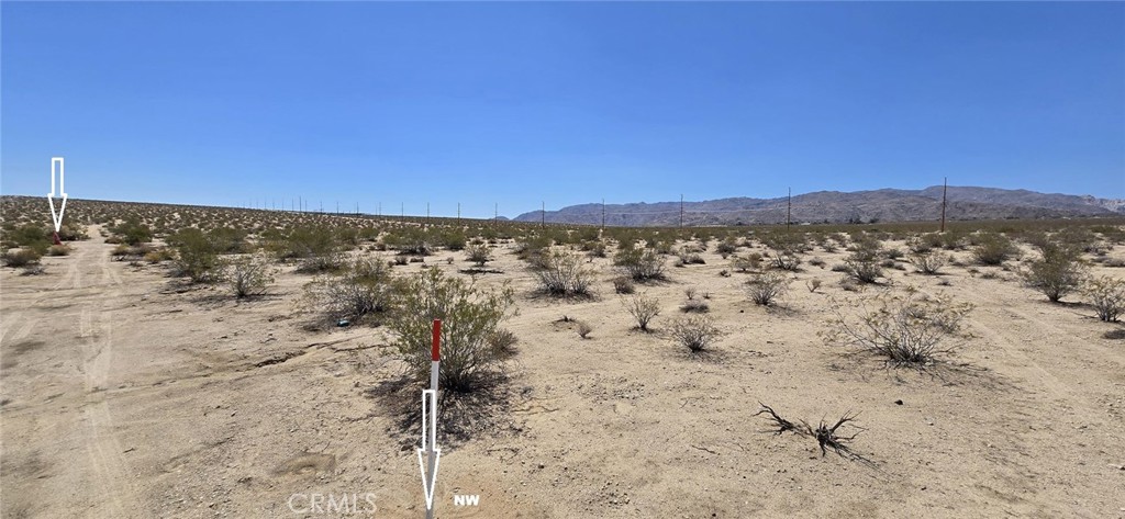 MLS #DW25164154 image #2