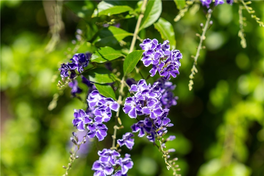 https://media.crmls.org/medias/19fe6953-41dc-47a8-b368-c9c85d40c1c5.jpg?preset=X-Large