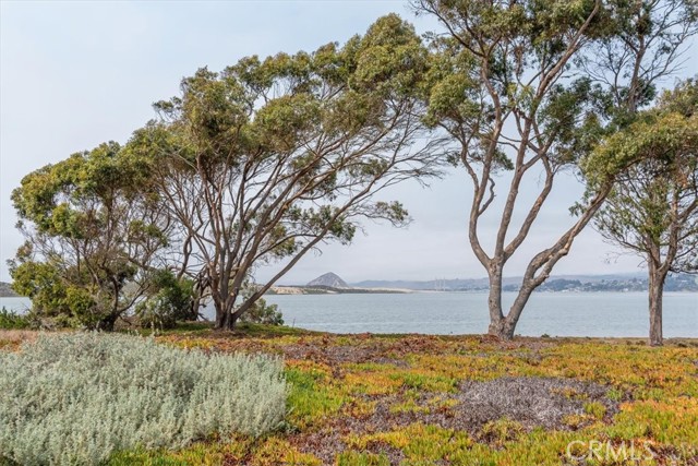 Detail Gallery Image 9 of 34 For 1924 Nevada Ct, Los Osos,  CA 93402 - – Beds | – Baths