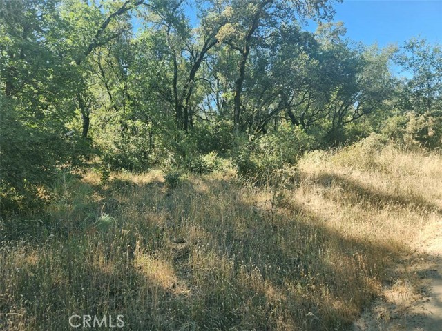 Detail Gallery Image 10 of 21 For 48 Rices Texas Hill Rd, Oregon House,  CA 95962 - – Beds | – Baths