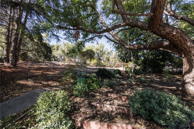 Detail Gallery Image 57 of 58 For 31561 Peppertree Bend, San Juan Capistrano,  CA 92675 - 5 Beds | 3/1 Baths