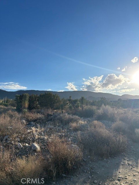 Detail Gallery Image 5 of 6 For 0 Yucca, Pinon Hills,  CA 92372 - – Beds | – Baths