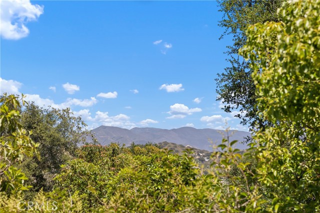 4 Sandy Knoll, Coto de Caza CA: https://media.crmls.org/medias/1a0f18b9-bfe1-47af-acb4-29b89b3f5a93.jpg