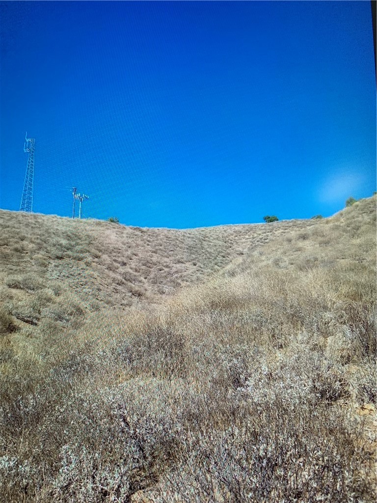 MLS #DW24083255 img 2