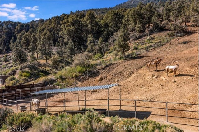 2204 Tirol Drive, Pine Mountain Club CA: https://media.crmls.org/medias/1a161cc1-2d49-49be-97ae-b6289951b258.jpg