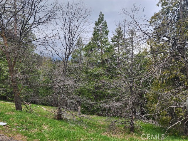 Detail Gallery Image 1 of 9 For 0 Ashlar Dr, Crestline,  CA 92325 - – Beds | – Baths