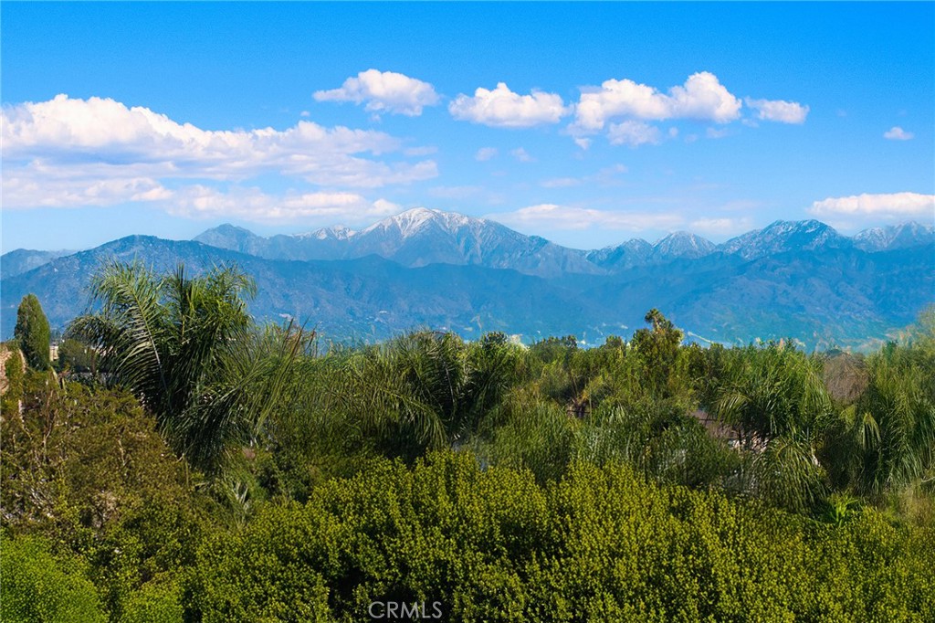 MLS #CV25262538 image #47