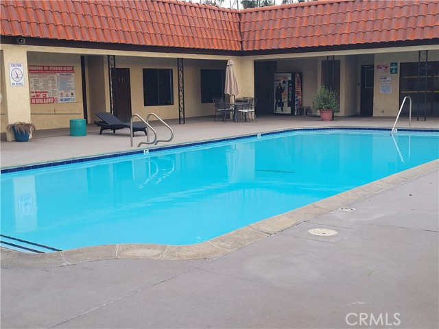 North side of the Pool