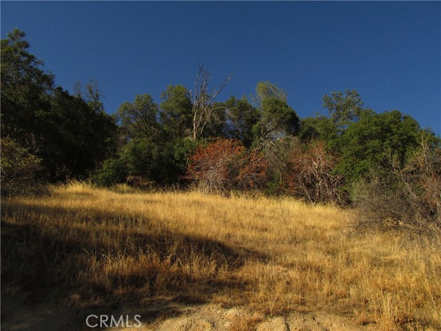 Detail Gallery Image 19 of 54 For 2 Ac Old Oaks Ct, North Fork,  CA 93643 - – Beds | – Baths